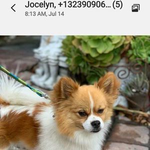 Meet your Posher, Nestor